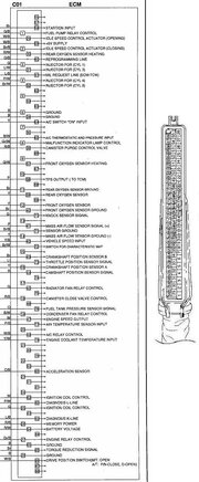 pinout2000cc_usa99_01_194.jpg