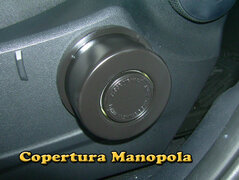 Manopola New 5.jpg