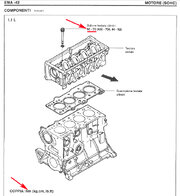 Nm-testata.jpg